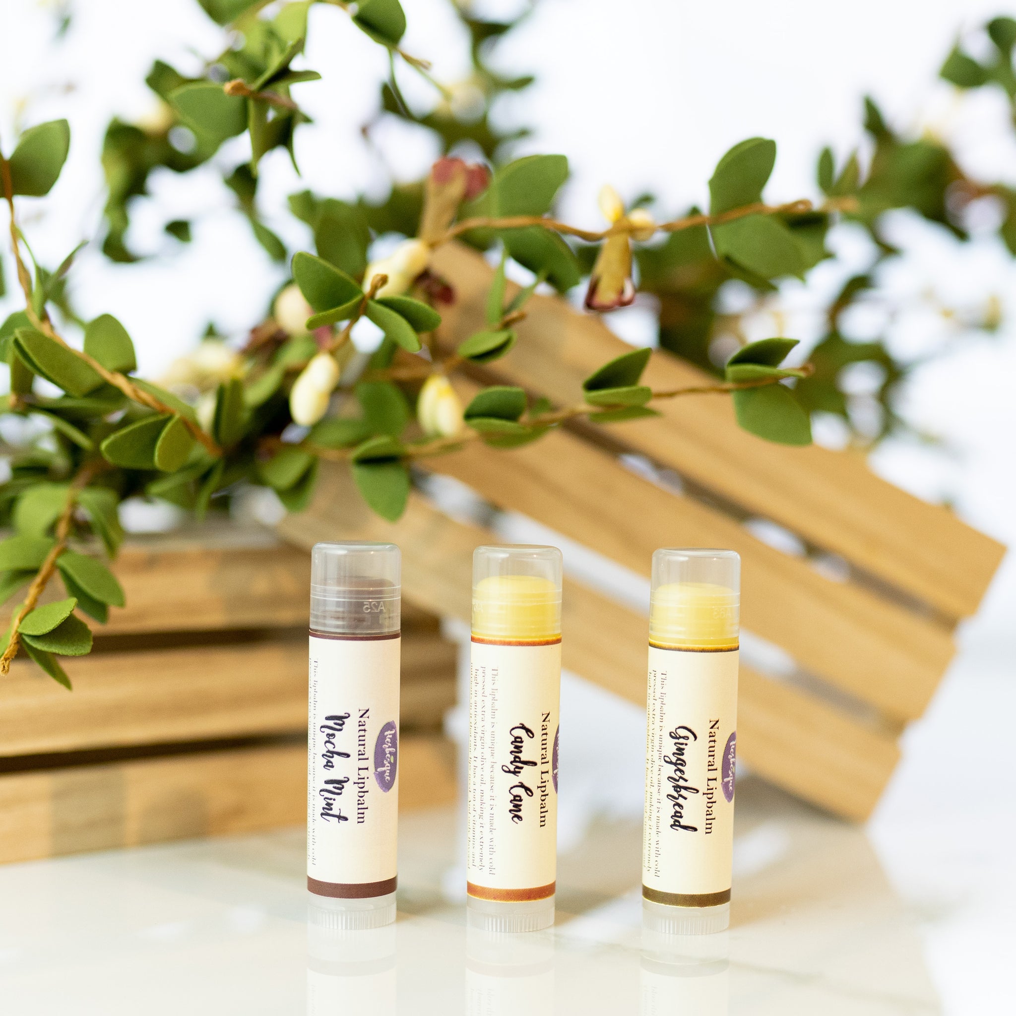 Holiday & Winter Lipbalms {mocha mint / gingerbread / candy cane}