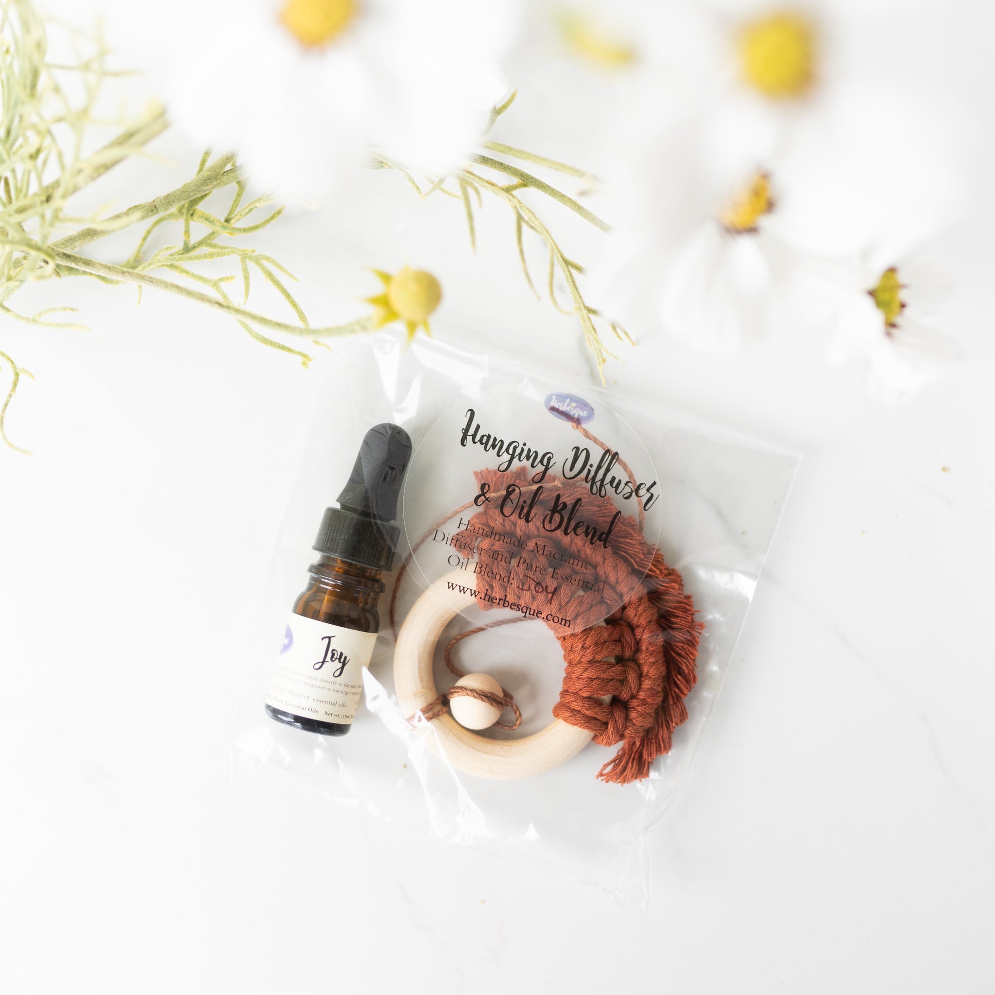Hanging Diffuser & Oil Blend Set
